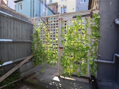 Courtyard garden
